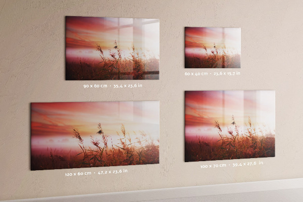 Memobord van glas met print inclusief neodymium magneten Een creatieve ruimte voor het presenteren van foto's