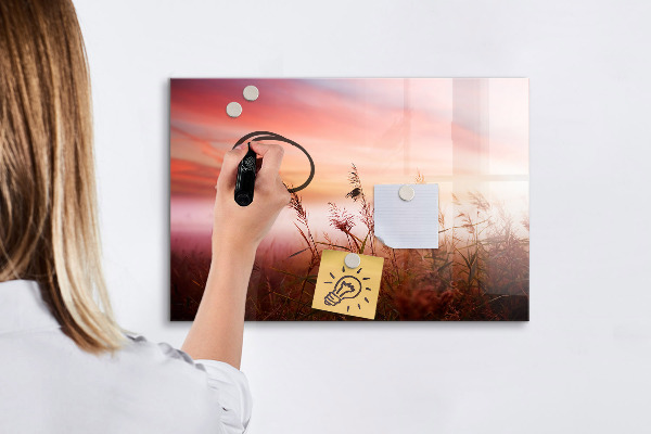 Memobord van glas met print inclusief neodymium magneten Een creatieve ruimte voor het presenteren van foto's