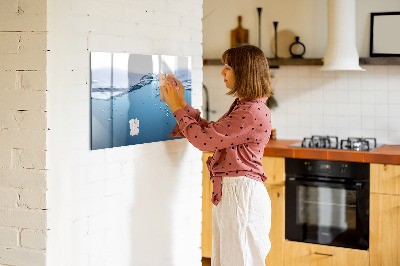 Decoratief glazen wandbord beschrijfbaar en magnetisch Waterachtergrond met foto's en accessoires
