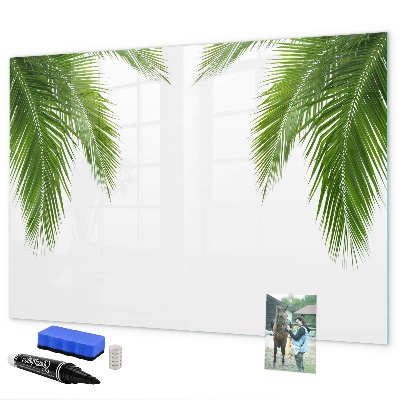 Decoratief glazen wandbord beschrijfbaar en magnetisch Fotobord met een palmmotief