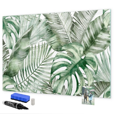 Decoratief glazen wandbord beschrijfbaar en magnetisch Groene poster met foto's en accessoires