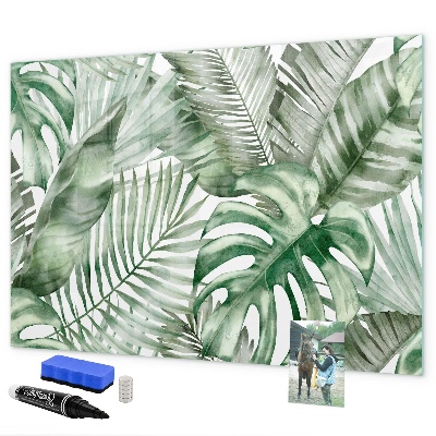 Decoratief glazen wandbord beschrijfbaar en magnetisch Groene poster met foto's en accessoires