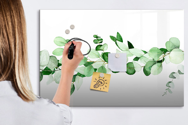 Decoratief glazen wandbord beschrijfbaar en magnetisch Groen bord voor foto's en notities