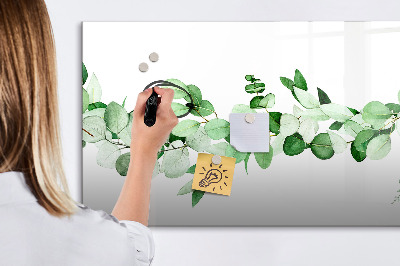 Decoratief glazen wandbord beschrijfbaar en magnetisch Groen bord voor foto's en notities