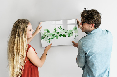 Decoratief glazen wandbord beschrijfbaar en magnetisch Groen bord voor foto's en notities
