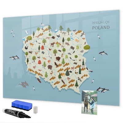 Memobord van glas met print inclusief neodymium magneten Natuurkaart van Polen met fotolocaties