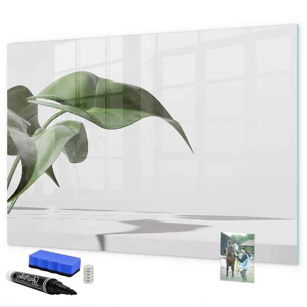 Decoratief glazen wandbord beschrijfbaar en magnetisch Planten en herinneringen aan de muur