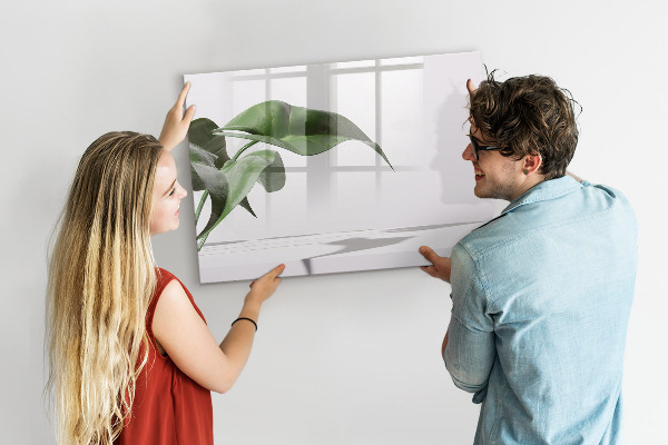 Decoratief glazen wandbord beschrijfbaar en magnetisch Planten en herinneringen aan de muur