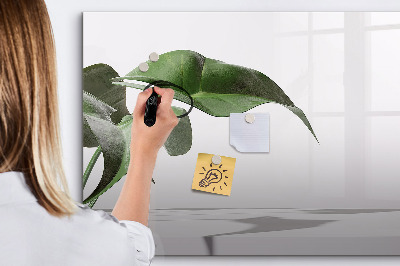 Decoratief glazen wandbord beschrijfbaar en magnetisch Planten en herinneringen aan de muur
