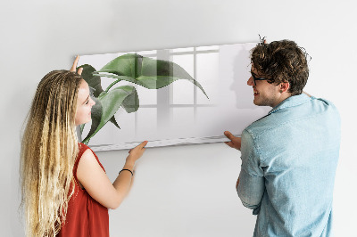 Decoratief glazen wandbord beschrijfbaar en magnetisch Planten en herinneringen aan de muur