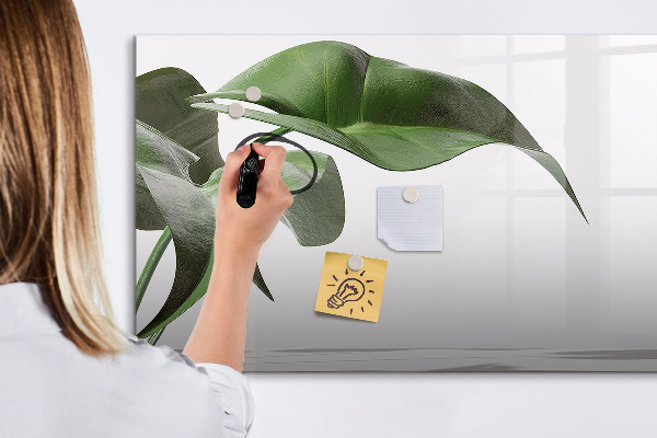 Decoratief glazen wandbord beschrijfbaar en magnetisch Planten en herinneringen aan de muur