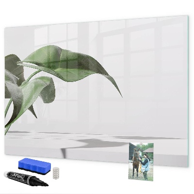 Decoratief glazen wandbord beschrijfbaar en magnetisch Planten en herinneringen aan de muur