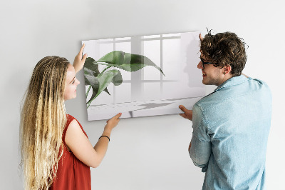 Decoratief glazen wandbord beschrijfbaar en magnetisch Planten en herinneringen aan de muur
