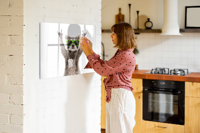 Decoratief glazen wandbord beschrijfbaar en magnetisch Blije wasbeer met foto's