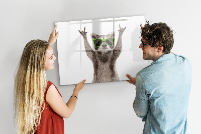 Decoratief glazen wandbord beschrijfbaar en magnetisch Blije wasbeer met foto's