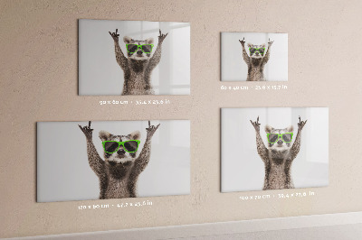 Decoratief glazen wandbord beschrijfbaar en magnetisch Blije wasbeer met foto's