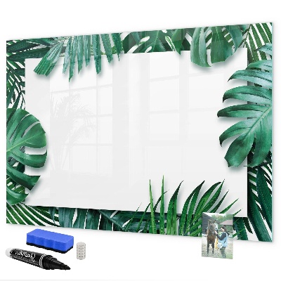 Memobord van glas met print inclusief neodymium magneten Groen bord voor foto's en notities