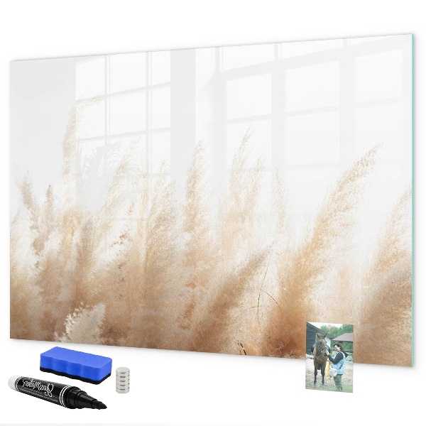 Decoratief glazen wandbord beschrijfbaar en magnetisch Modern prikbord voor foto's en notities