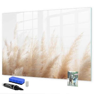 Decoratief glazen wandbord beschrijfbaar en magnetisch Modern prikbord voor foto's en notities