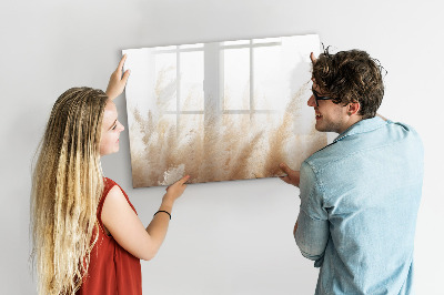 Decoratief glazen wandbord beschrijfbaar en magnetisch Modern prikbord voor foto's en notities