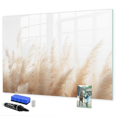 Decoratief glazen wandbord beschrijfbaar en magnetisch Modern prikbord voor foto's en notities