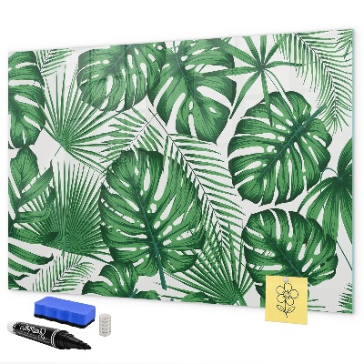 Decoratief glazen wandbord beschrijfbaar en magnetisch Groen bord voor foto's en notities