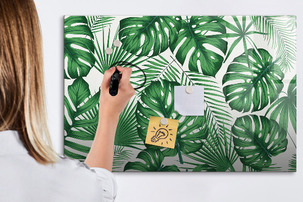 Decoratief glazen wandbord beschrijfbaar en magnetisch Groen bord voor foto's en notities
