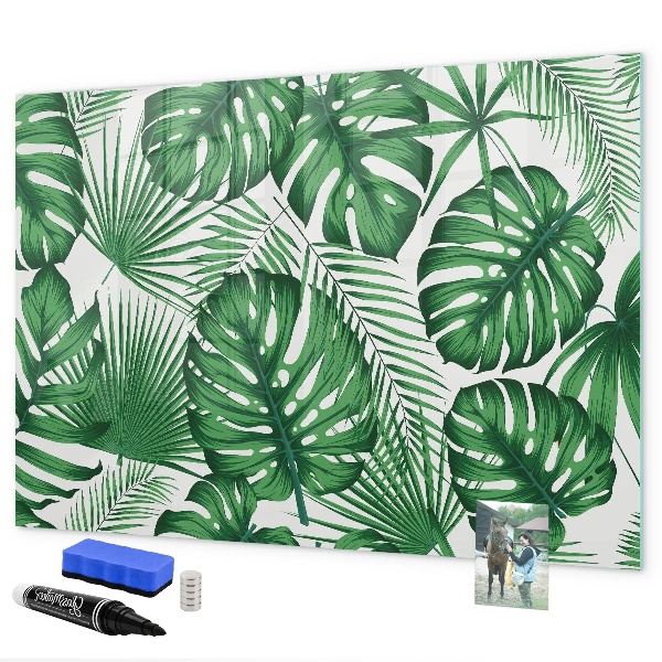 Decoratief glazen wandbord beschrijfbaar en magnetisch Groen bord voor foto's en notities