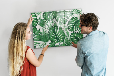 Decoratief glazen wandbord beschrijfbaar en magnetisch Groen bord voor foto's en notities