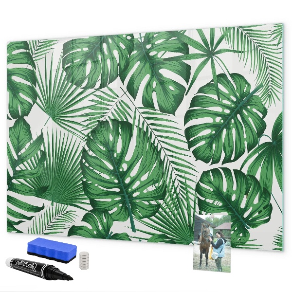 Decoratief glazen wandbord beschrijfbaar en magnetisch Groen bord voor foto's en notities