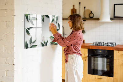 Memobord van glas met print inclusief neodymium magneten Stijlvol memobord met planten