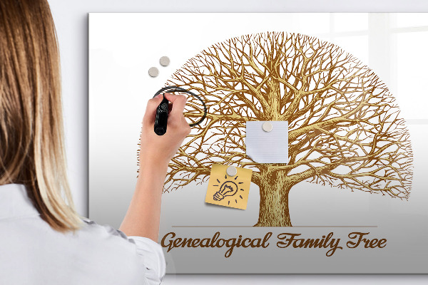 Memobord van glas met print inclusief neodymium magneten Stamboom met ruimte voor foto's