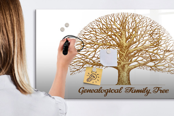 Memobord van glas met print inclusief neodymium magneten Stamboom met ruimte voor foto's