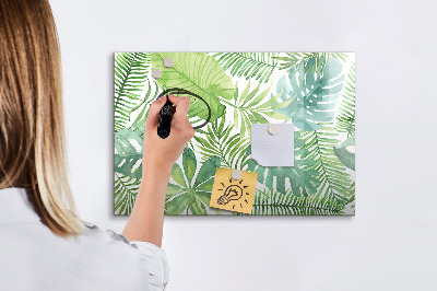 Decoratief glazen wandbord beschrijfbaar en magnetisch Groen bord voor foto's en notities