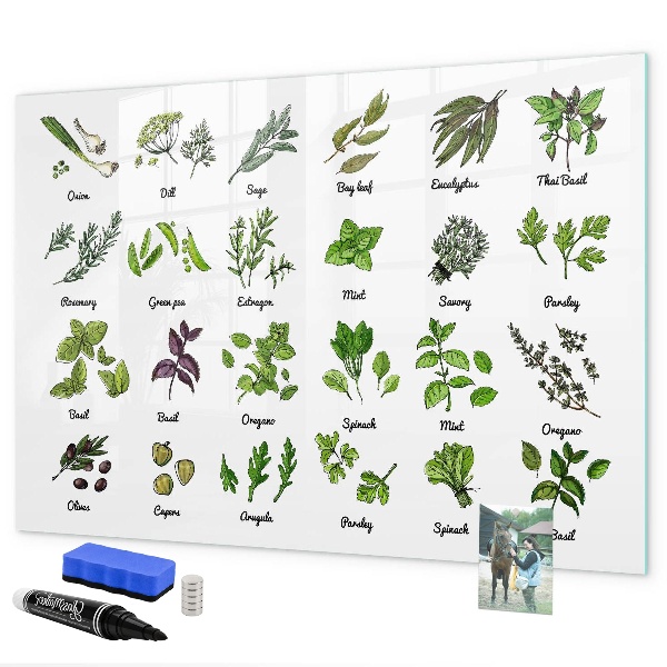 Decoratief glazen wandbord beschrijfbaar en magnetisch Kruiden en foto's op één plek