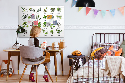 Decoratief glazen wandbord beschrijfbaar en magnetisch Kruiden en foto's op één plek