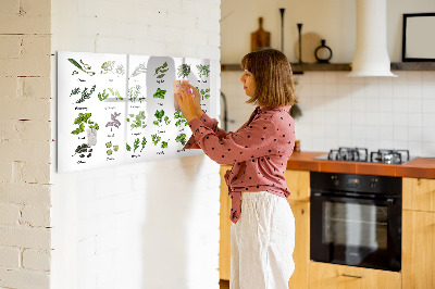 Decoratief glazen wandbord beschrijfbaar en magnetisch Kruiden en foto's op één plek