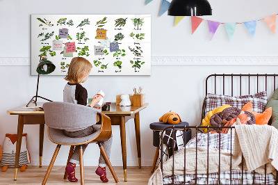 Decoratief glazen wandbord beschrijfbaar en magnetisch Kruiden en foto's op één plek