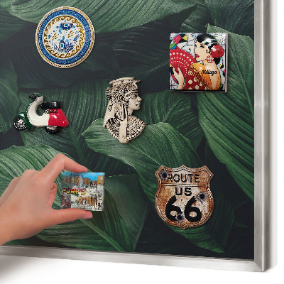 Magneetbord voor souvenir magneten met zilveren lijst Het groen van de natuur