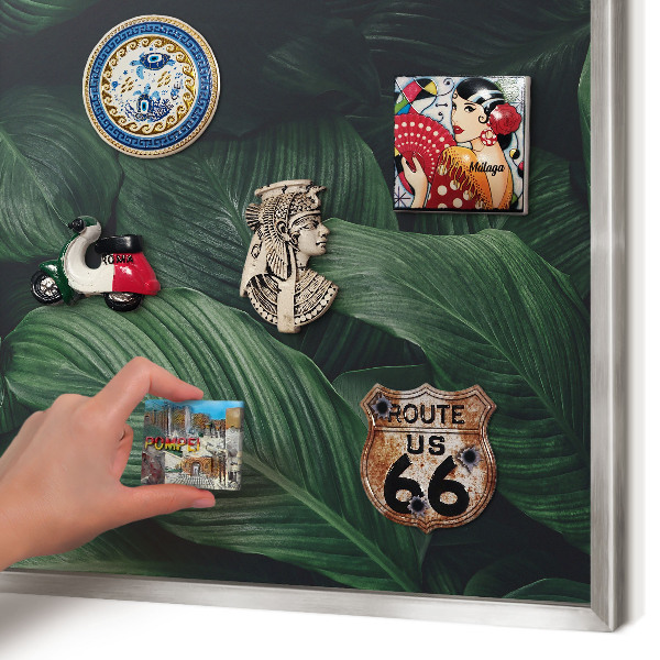 Magneetbord voor souvenir magneten met zilveren lijst Het groen van de natuur