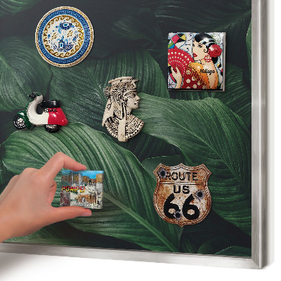 Magneetbord voor souvenir magneten met zilveren lijst Het groen van de natuur