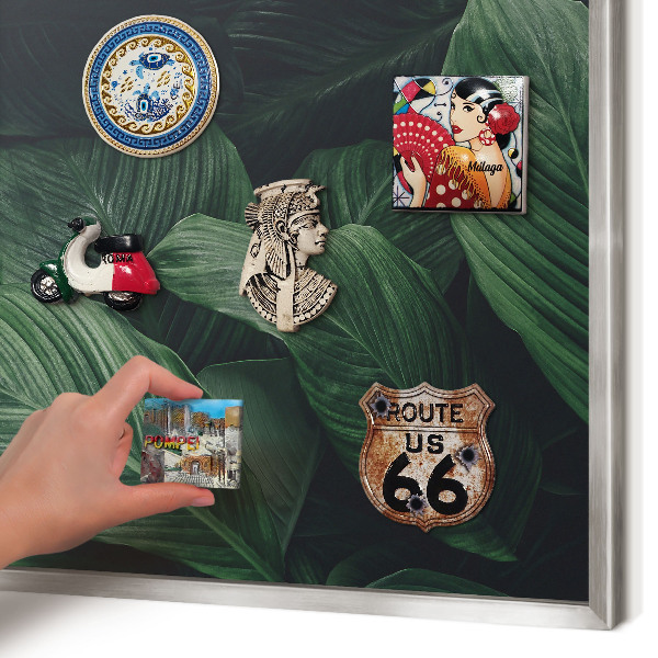 Magneetbord voor souvenir magneten met zilveren lijst Het groen van de natuur