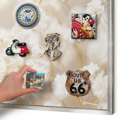 Magneetbord voor souvenir magneten met zilveren lijst Beige bloemen