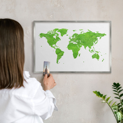 Decoratief metalen magneetbord in een zilveren lijst Groene kaart