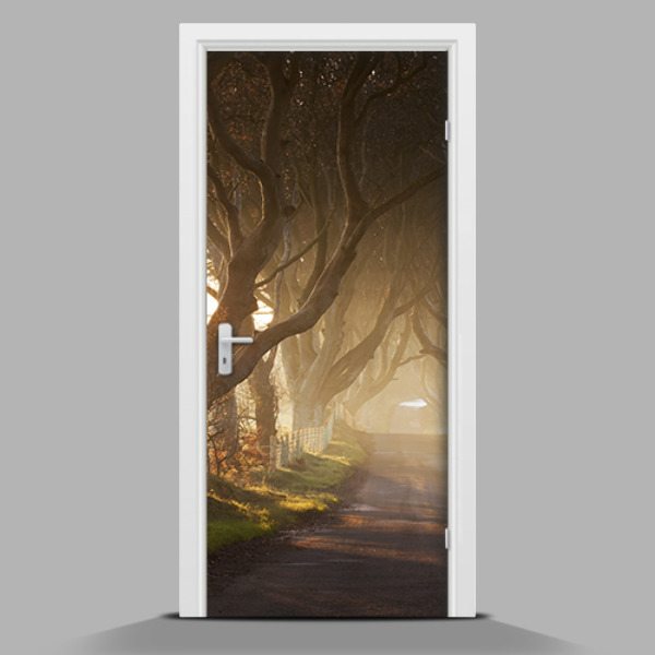 deur sticker Reusachtige bomen