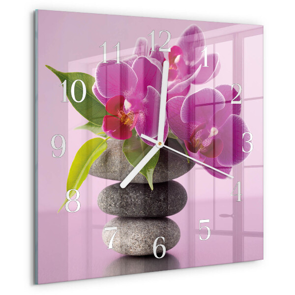 Orchidee