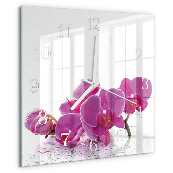 Orchidee