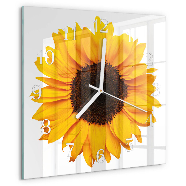 Zonnebloem