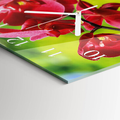 Vierkante glazen klok Orchidee