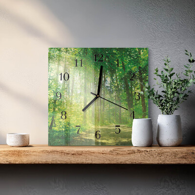 Vierkante glazen wandklok Bosnatuur